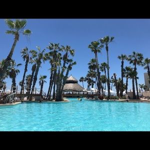 Meet your Posher, Rohini